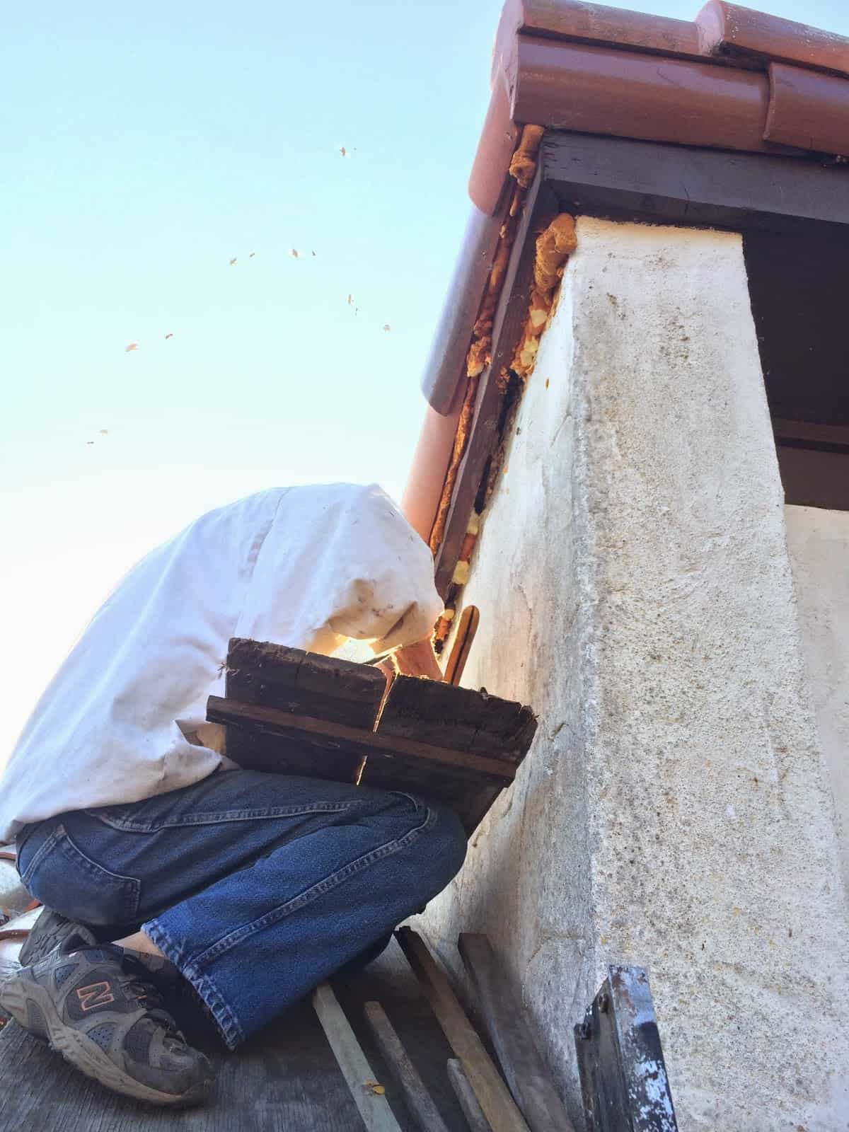 Fashioning a Hive Stand