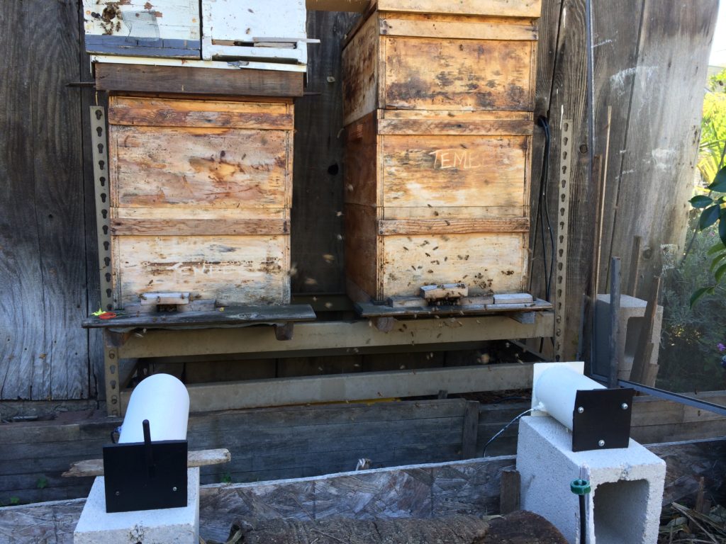 Eyesonhives side by side monitoring