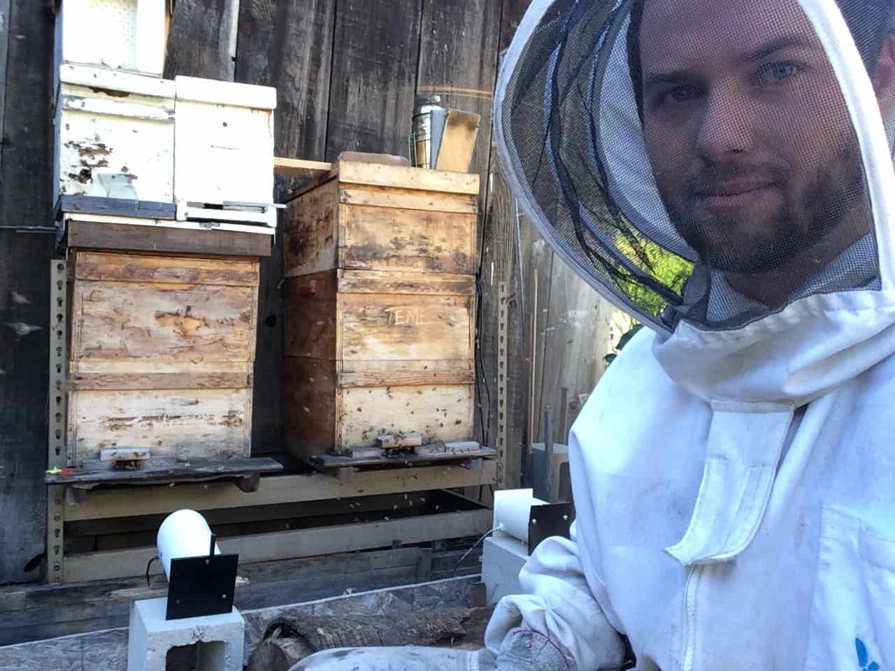 Urban Beekeeping is an exciting passion!