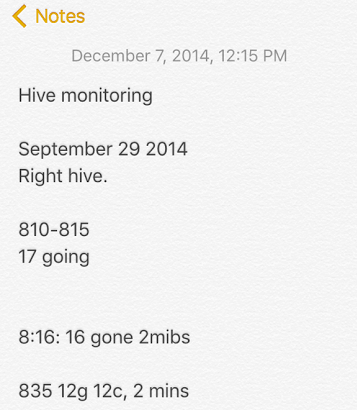 iphone-bee-counting